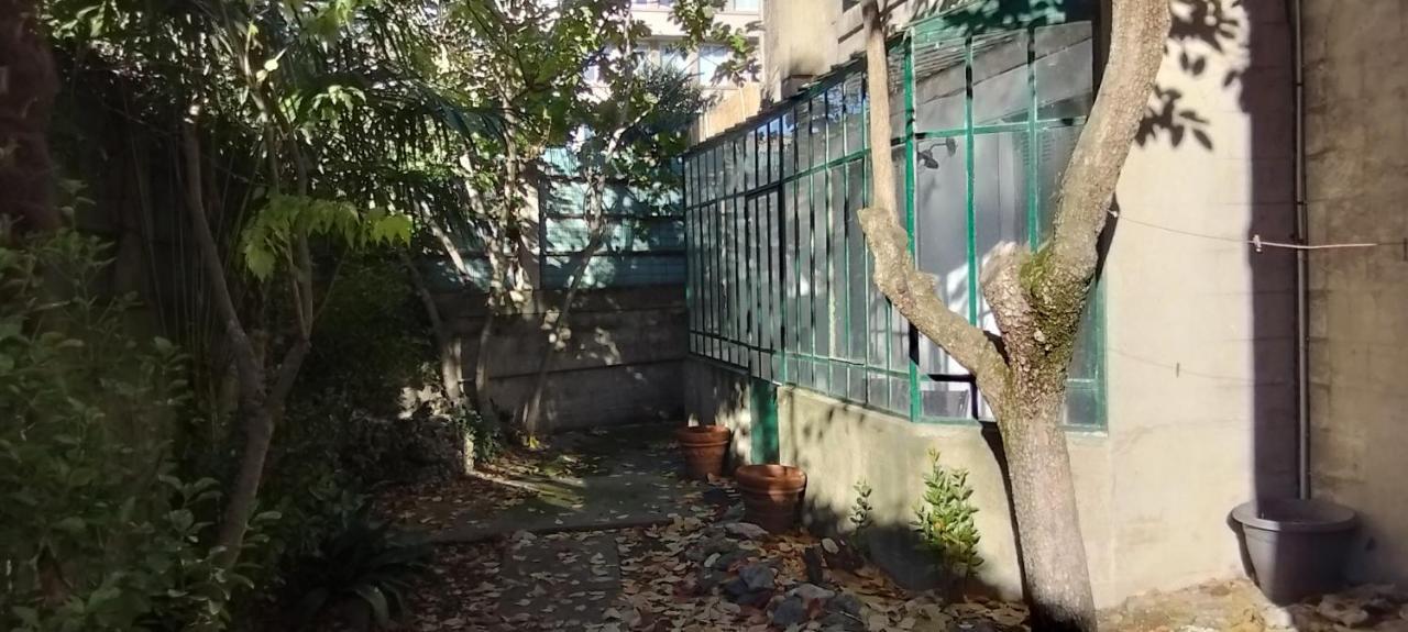 74, Chez Moune Et Mabo Carcassonne Dış mekan fotoğraf
